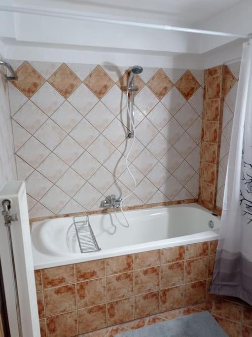Trikala Alex House Daire Dış mekan fotoğraf