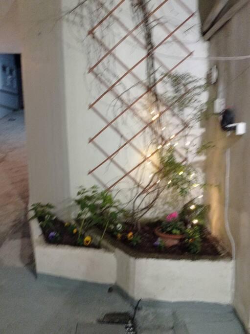 Trikala Alex House Daire Dış mekan fotoğraf