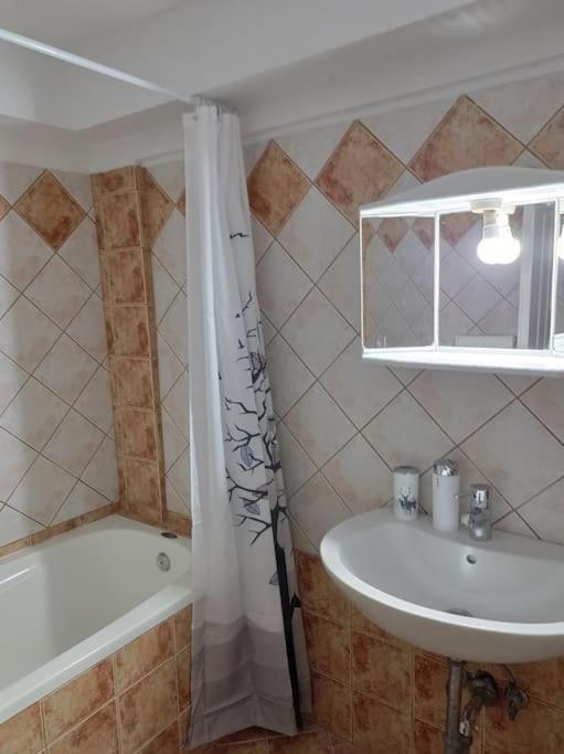 Trikala Alex House Daire Dış mekan fotoğraf